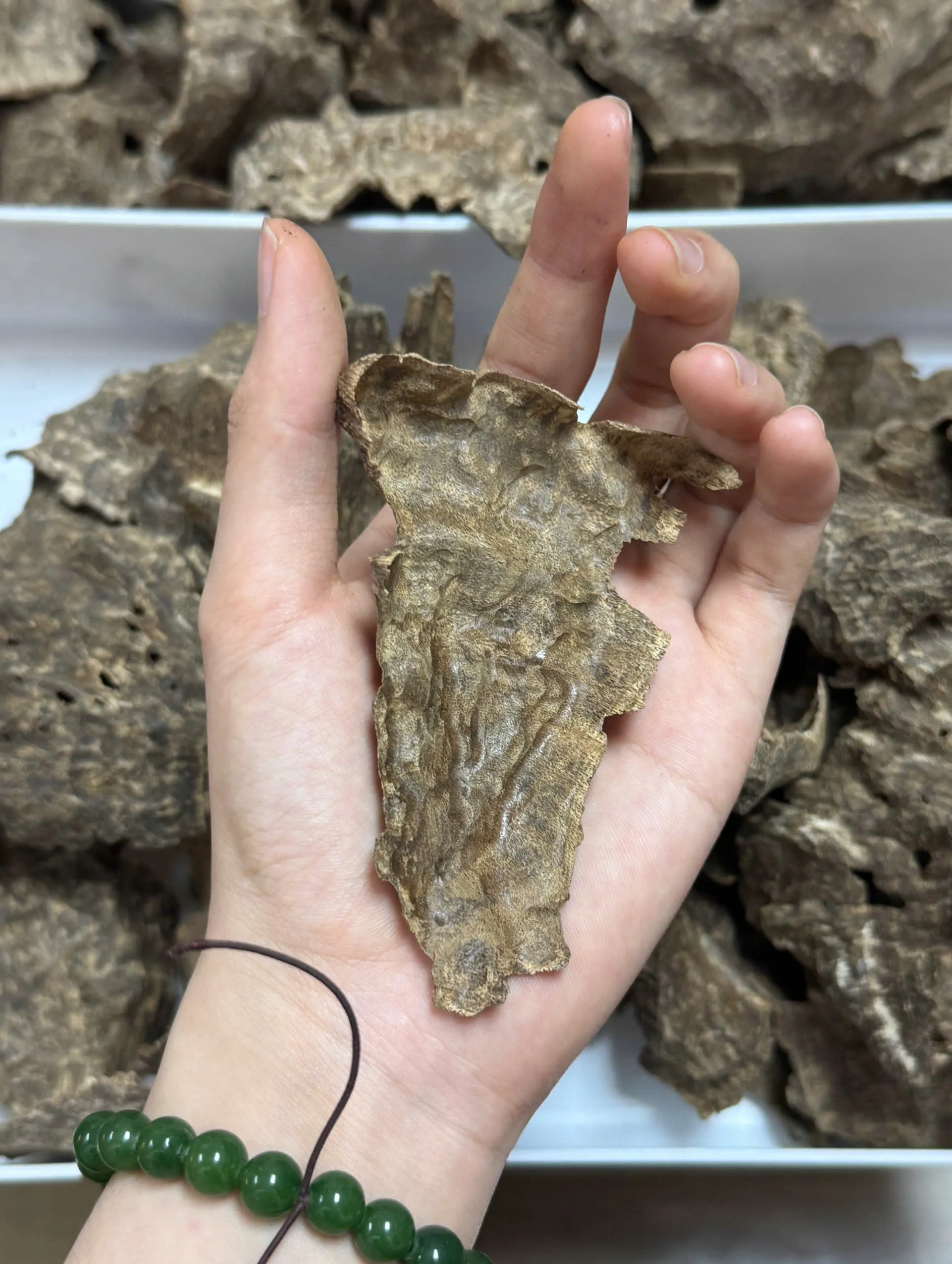 Premium Char Oud – Cultivated Agarwood Chips (High Oil Content for Incense &amp; Meditation)